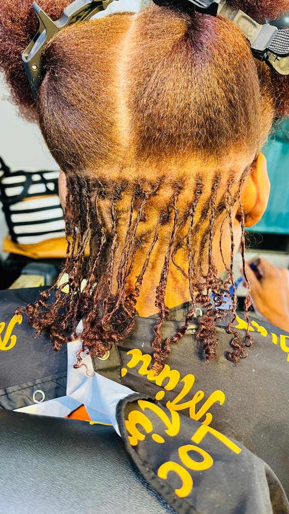 Starter Micro Locs