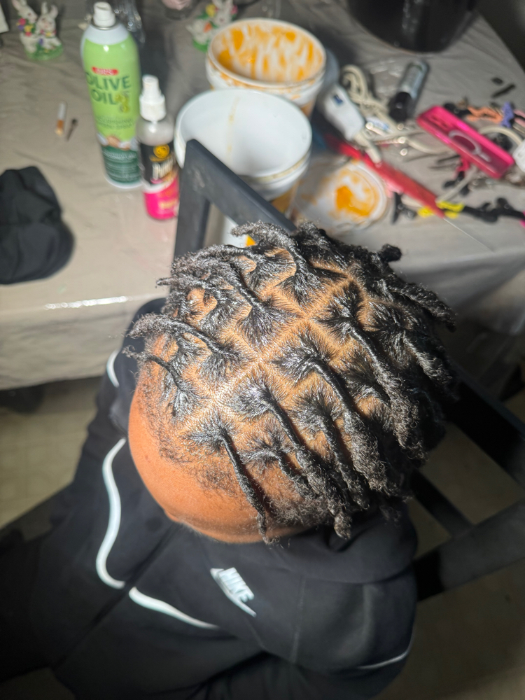 Starter Locs