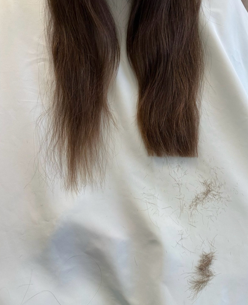 Hair Cut With Any Color Service at Hair By Hannah Herman in Pittsford, NY