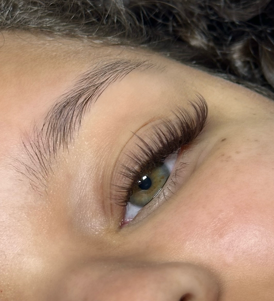 Brownie Classic Fill at eyelovelashstudio in San Antonio, TX