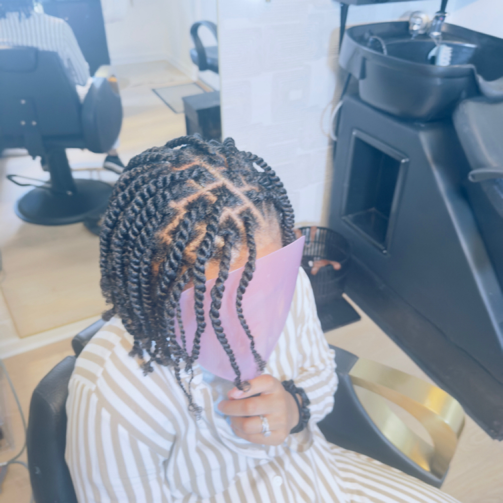 2-strand Twist at Darien Beauty in Chesterfield, VA