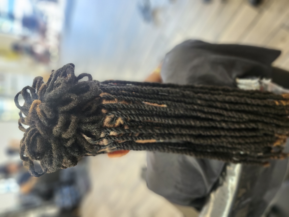 Locs Retwist /w Style