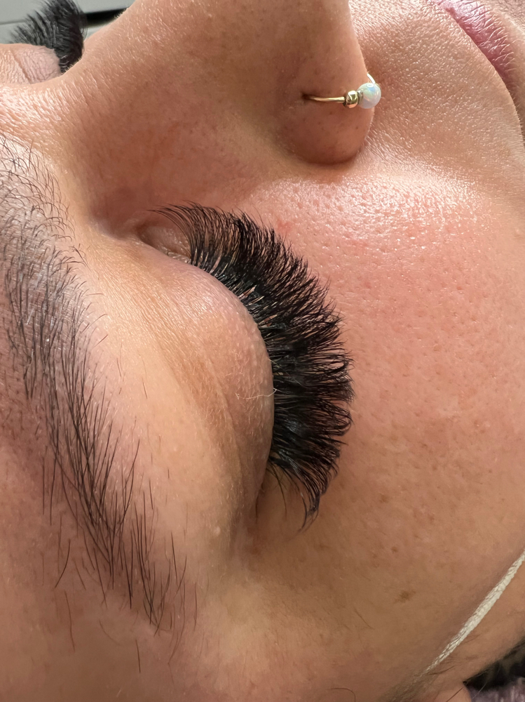 Standard Lash Fill