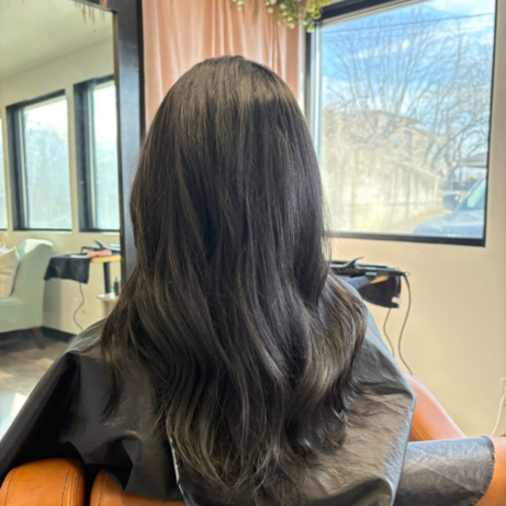 Root Touch Up at Blume Salon in Poplar Bluff, MO