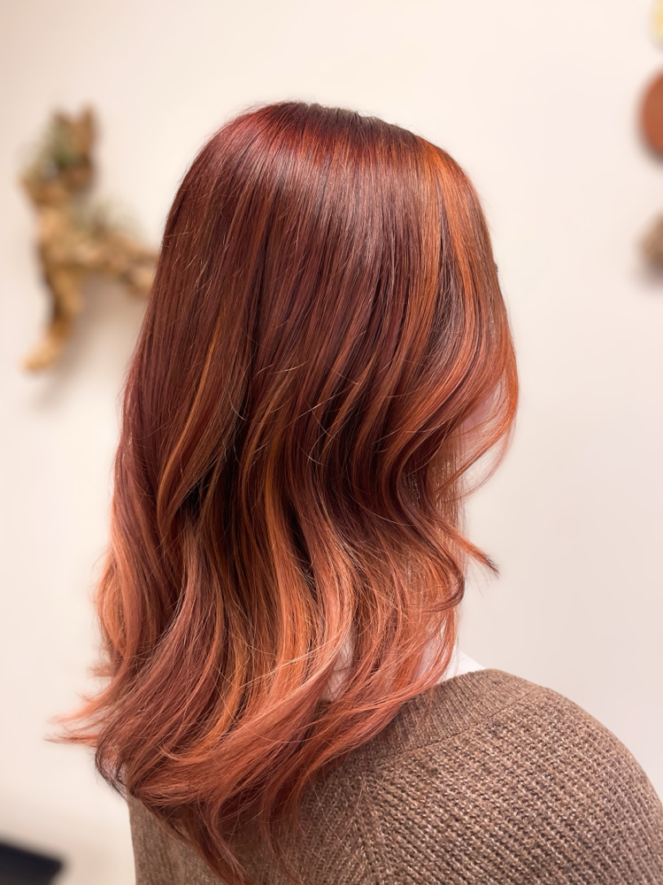 Color Retouch + Gloss + Haircut