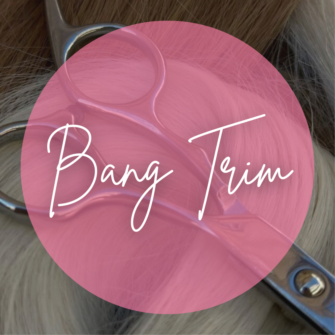 Bang Trim at Manna Beauty Salon in Berea, KY