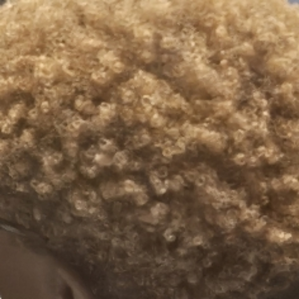 Wash &Go/Blow Dry/Natural Style at CLASSY CEES Crown Ritual in Baton Rouge, LA