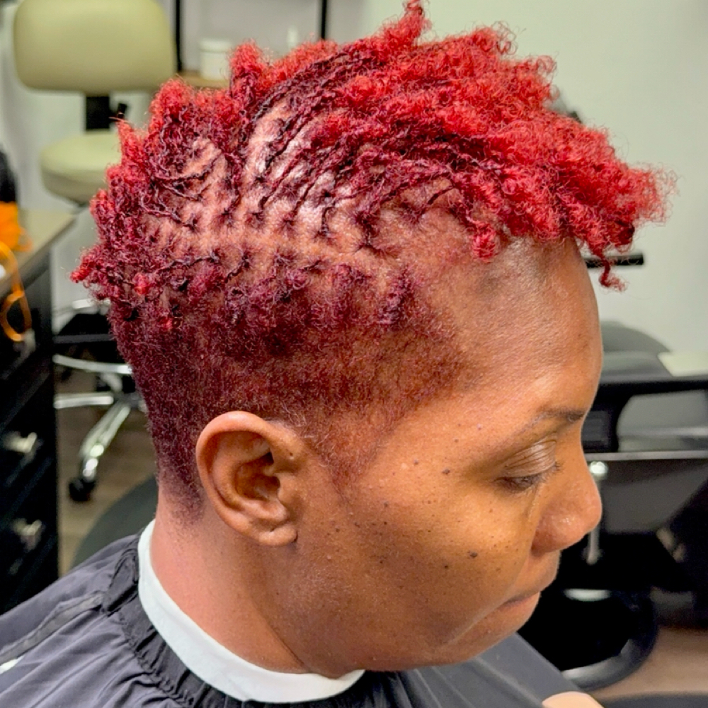 Traditional Locs/Microlocs Services at FrēStīl in DeSoto, TX