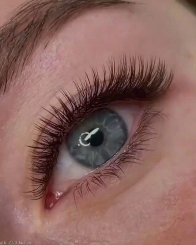 Dark Brown Classic