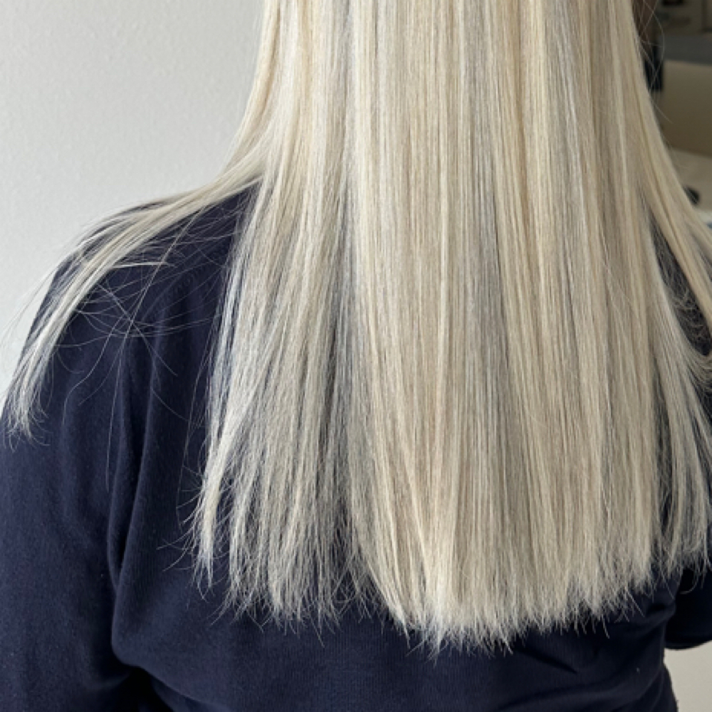 Bleach & Tone at Classic chic in Sarasota, FL