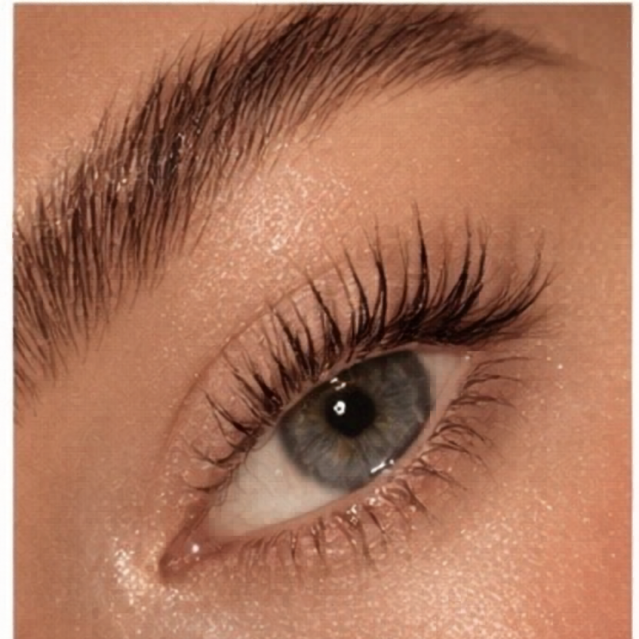 The Monroe Lash lift and Tint at The Monroe Studio in Rising Sun, IN