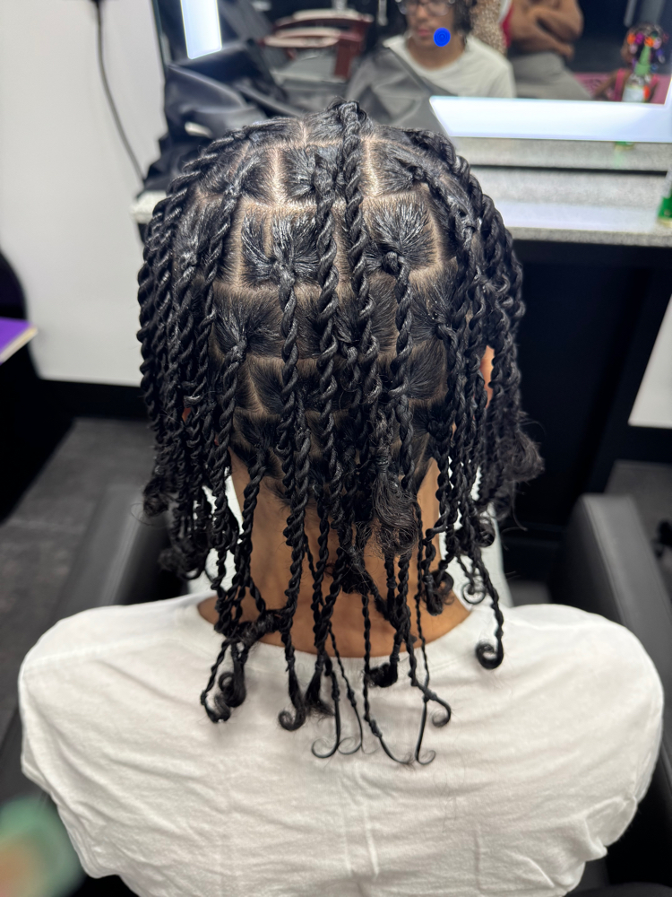 Two Strand Twists/ Natural