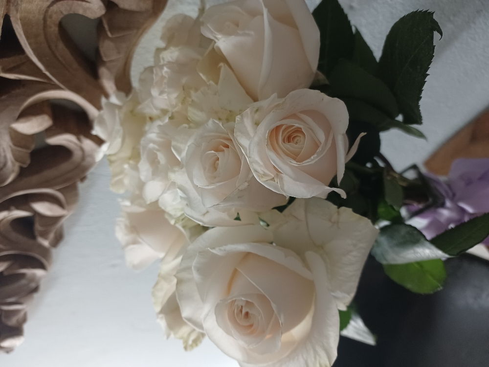 Oferta Del Dia Rosas Blancas