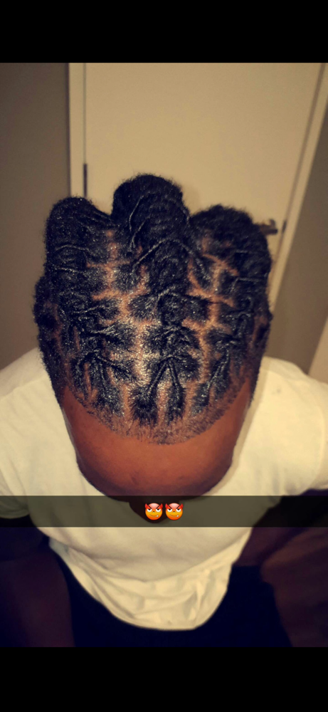 Locs at Stella.slayss in St. Peters, MO