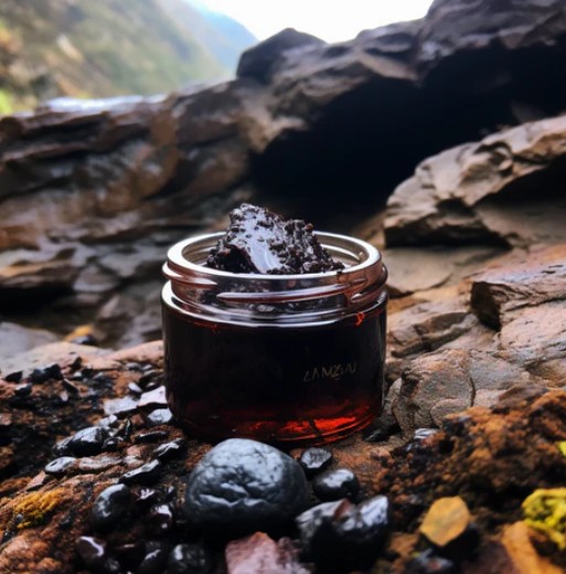 Shilajit Facial
