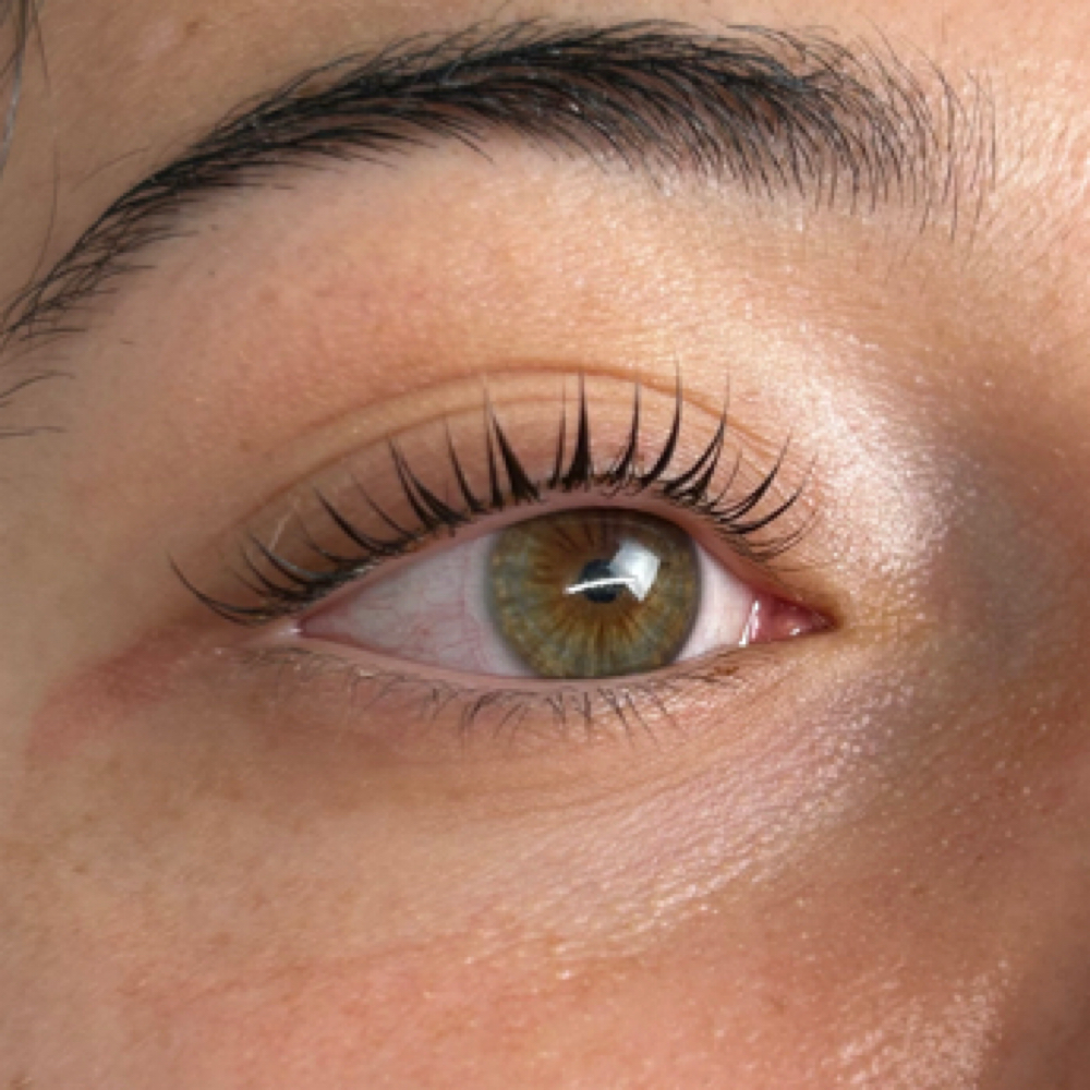 Korean Lash Lift & Tint at Romi Lash Society in Westchase, FL