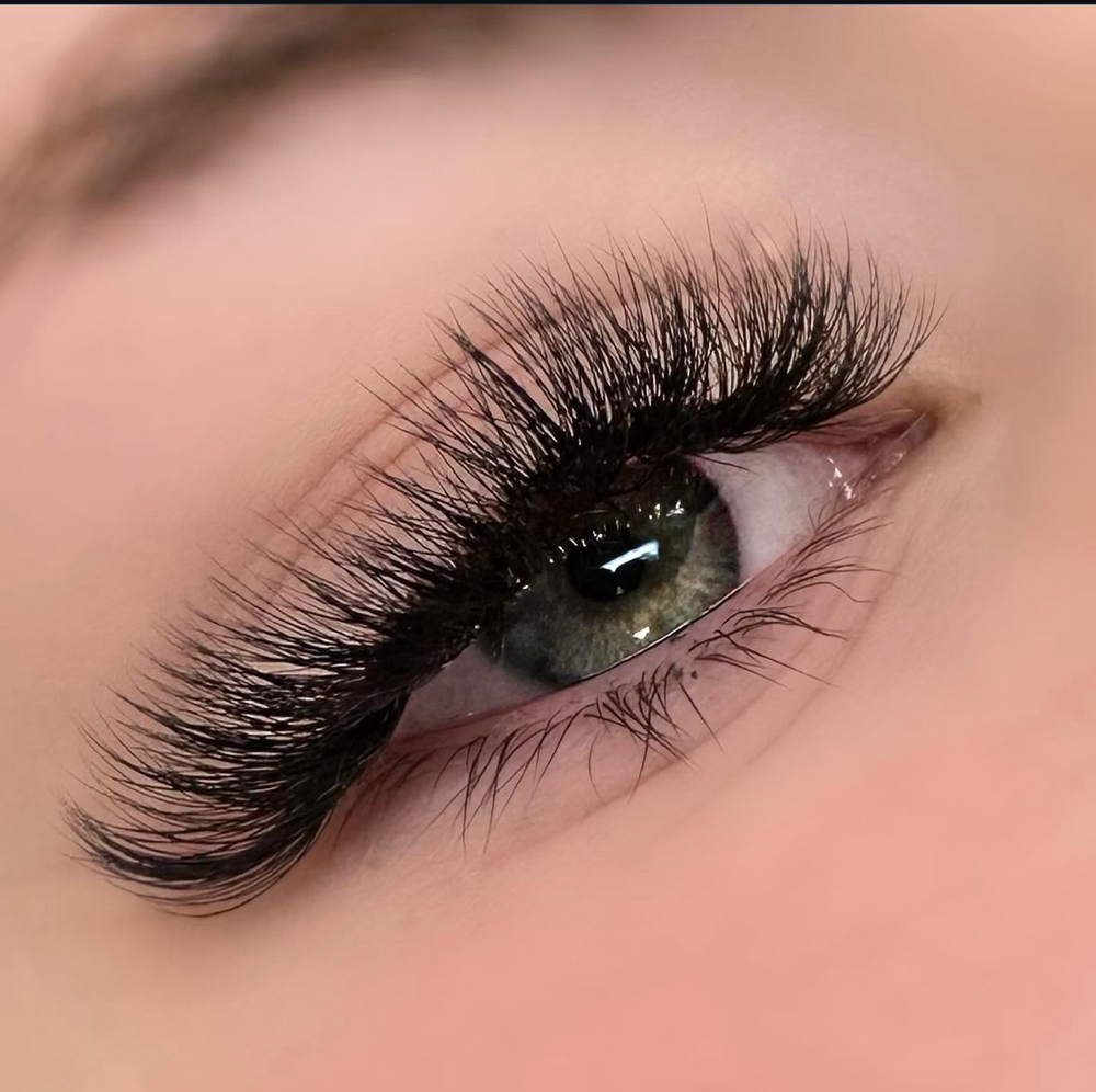 Volume Lashes