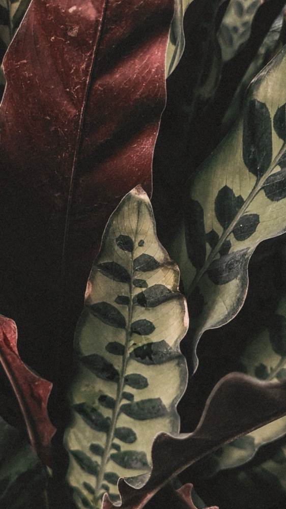 THIGHS (INNER) at SLICKED in Lufkin, TX