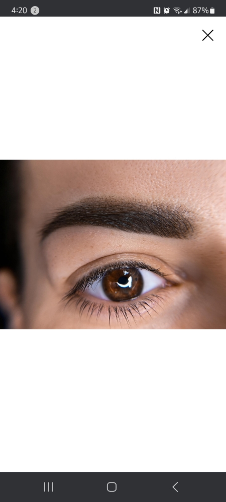 Powder Brows