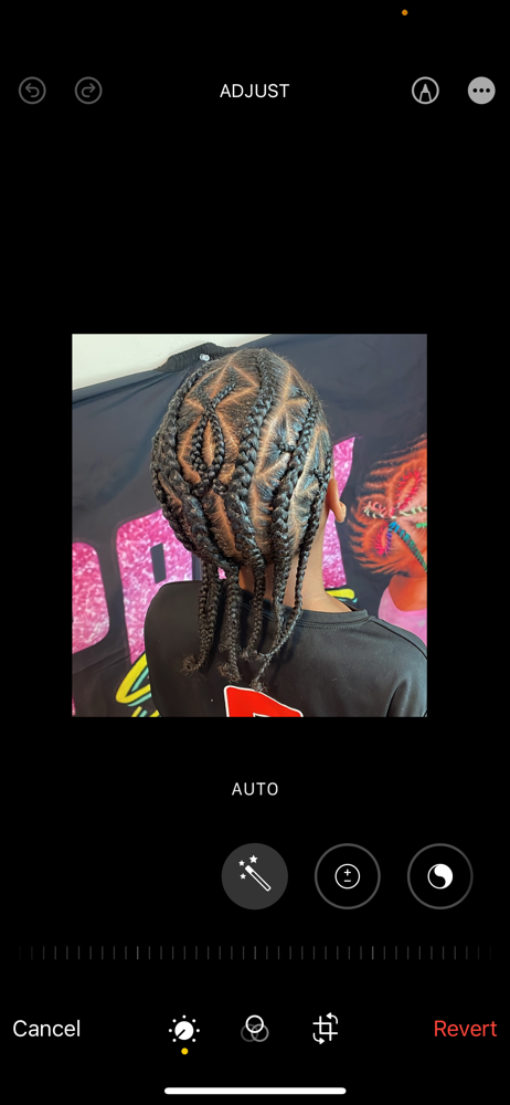 Boy Braids💙 Any Style. Full Head**