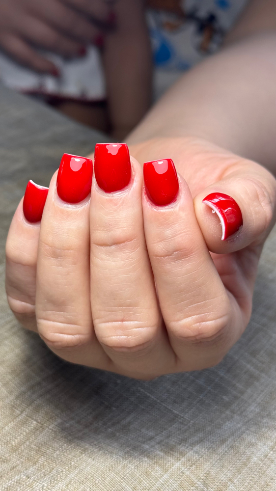 FULL SET {BASIC SHORT}