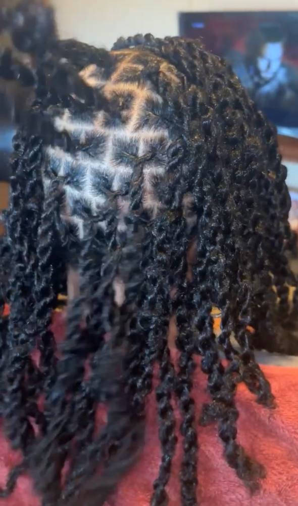 Protective Style Over Locs