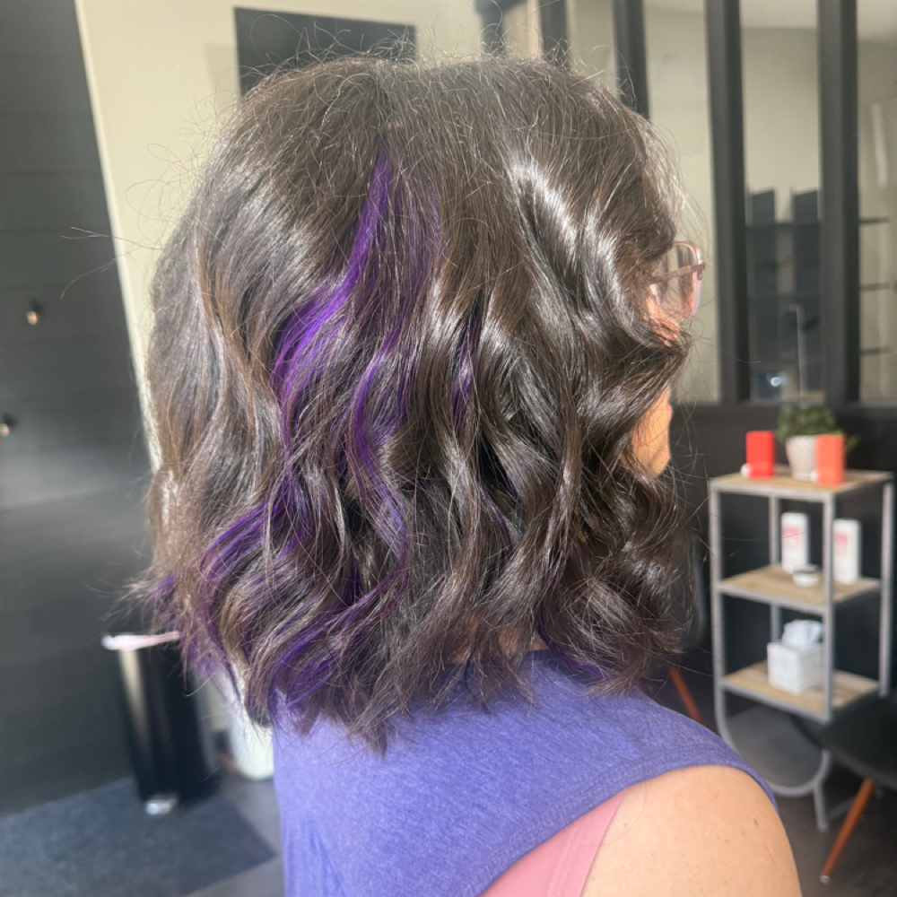 Fashion Color Extentions (Partial) at Looks By Liz in waukesha, WI