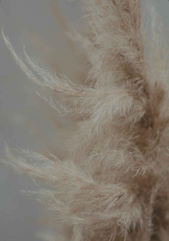 Underarm Wax