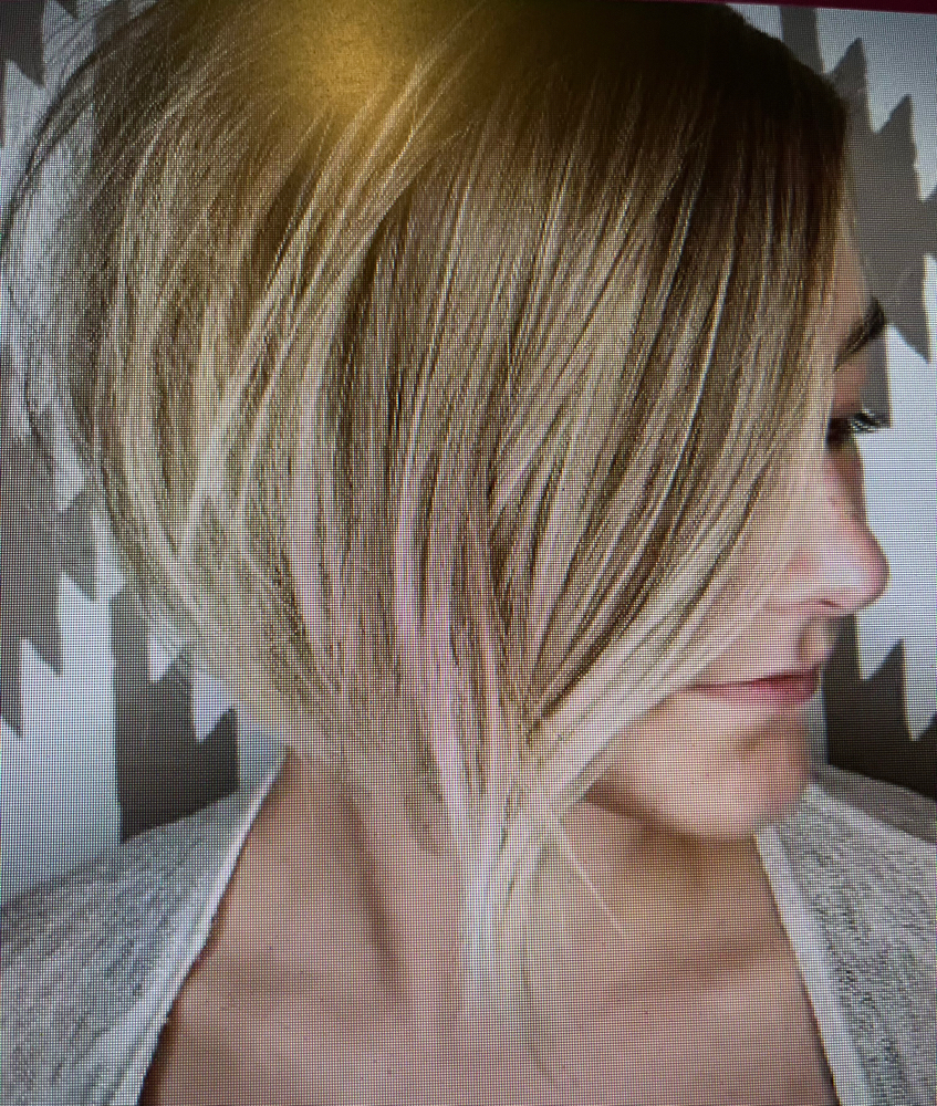 Blowout (shorthair)
