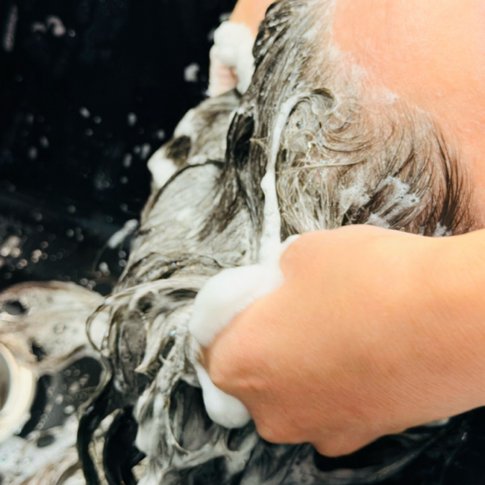 Shampoo/Style at Azul Hair Salon in Longview, TX
