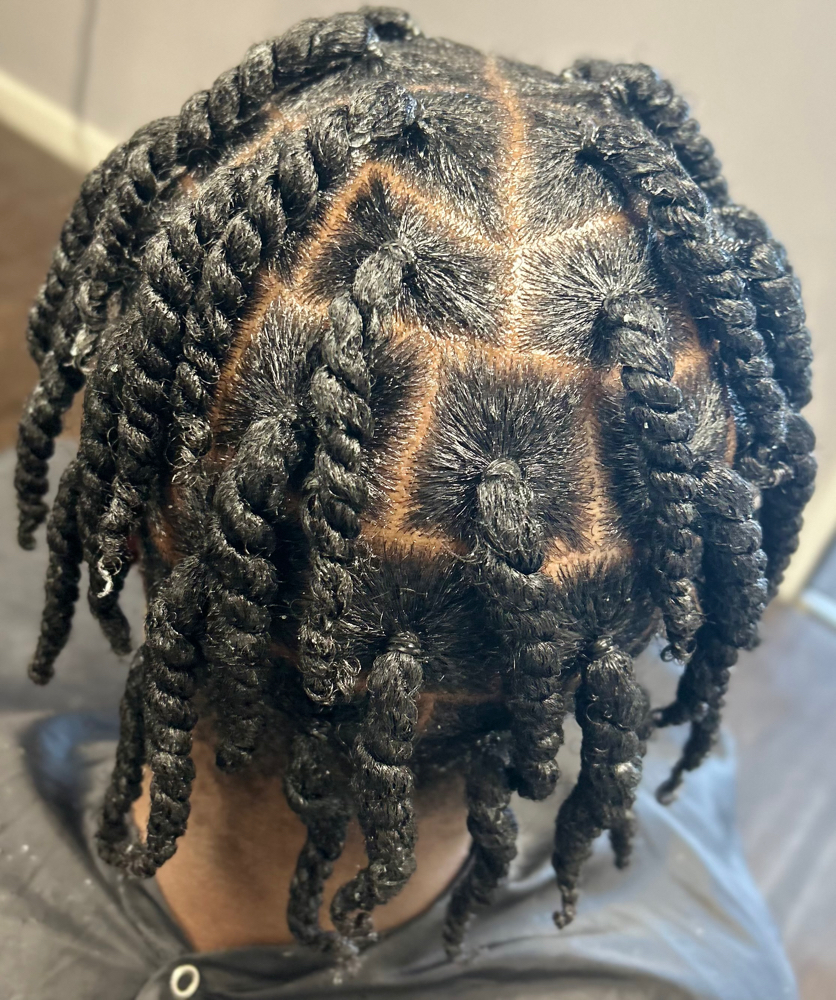 Two Strand Twist