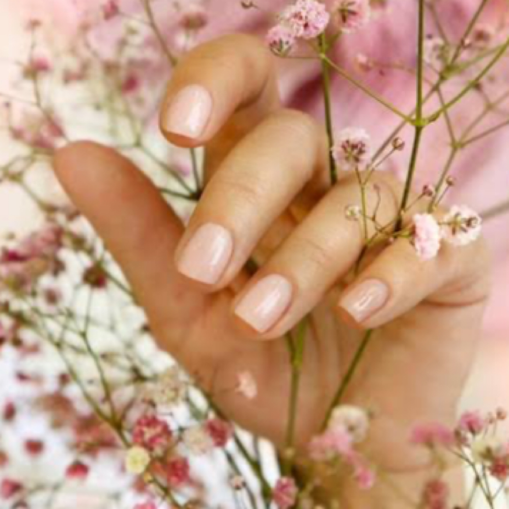 Regular Polish Change at NW Nails & Spa in Portland, OR