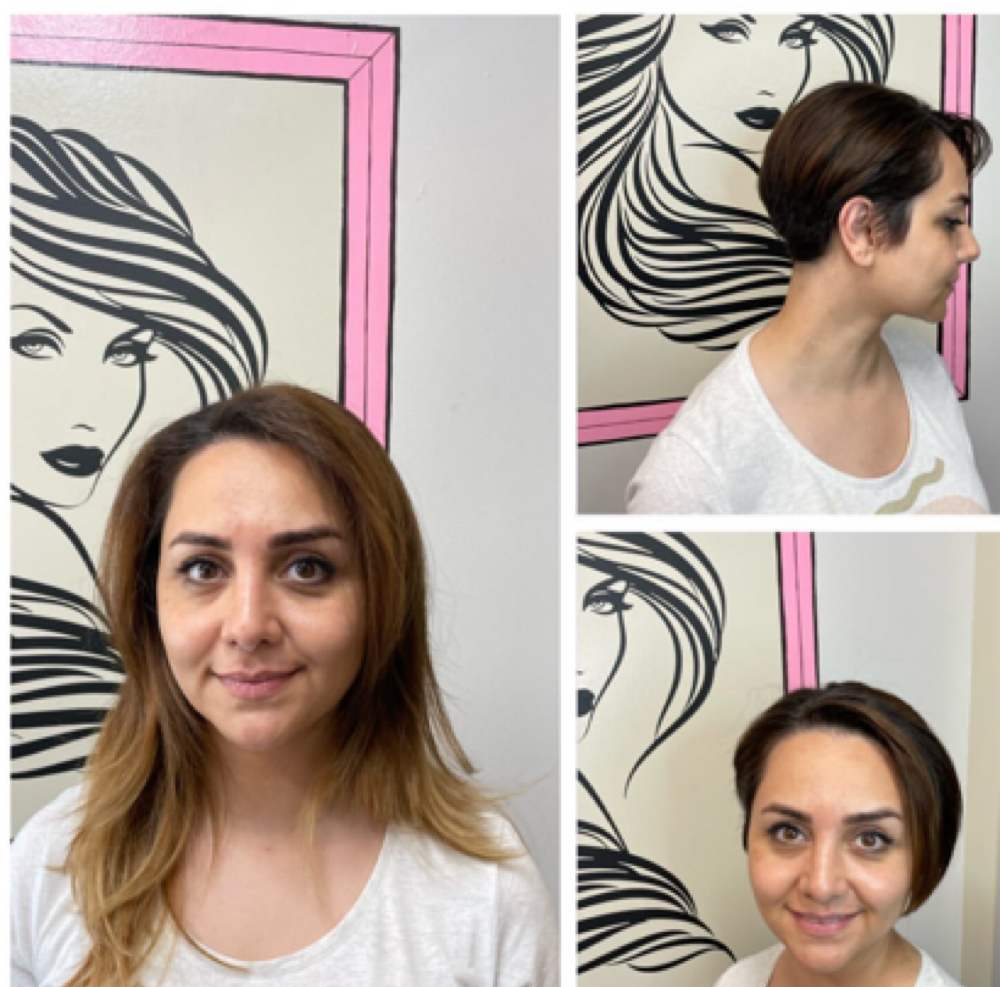 Cut Only at 355 Salon & Spa in Rockville, MD