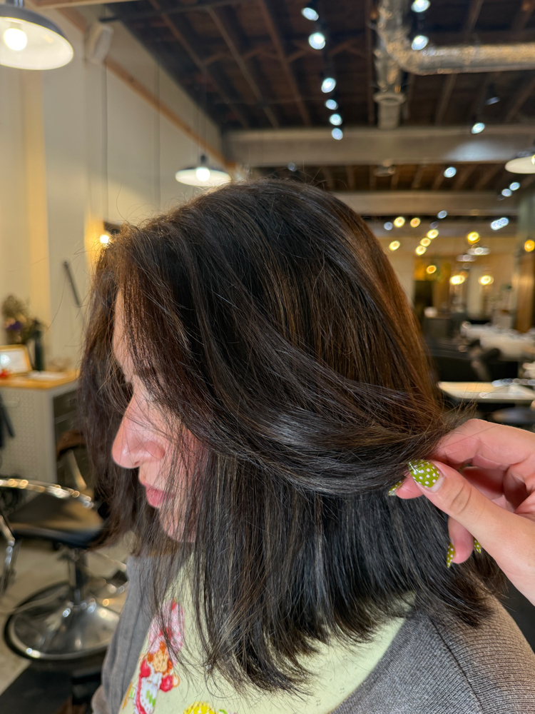 Color Correction Consultation