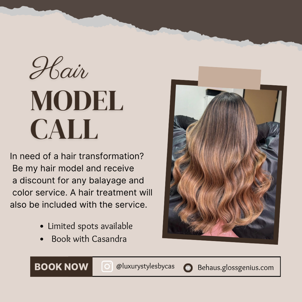 Model Promotion