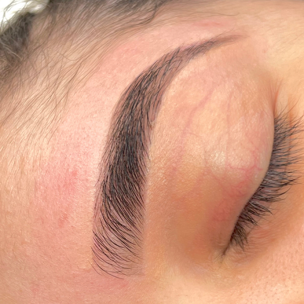 Eyebrow Tint Only at Glistening Skin Esthetics in Bronx, NY