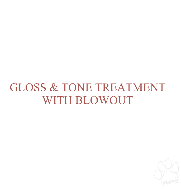 Gloss & Tone Treatment with Blowout