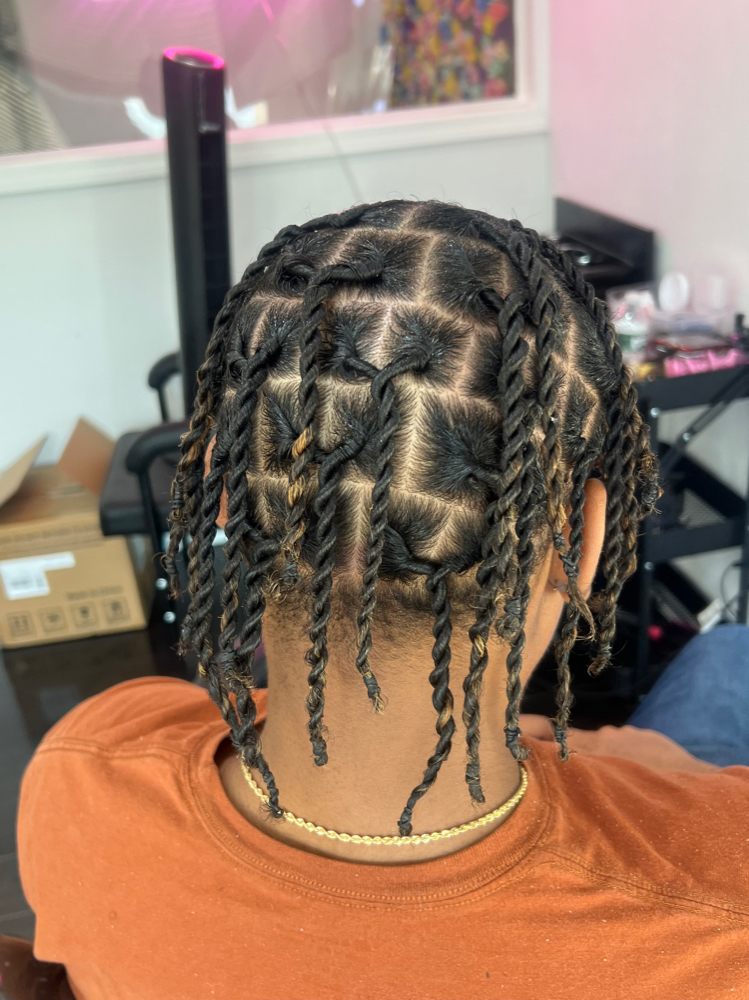 Starter Dread Locs Into Two Strand