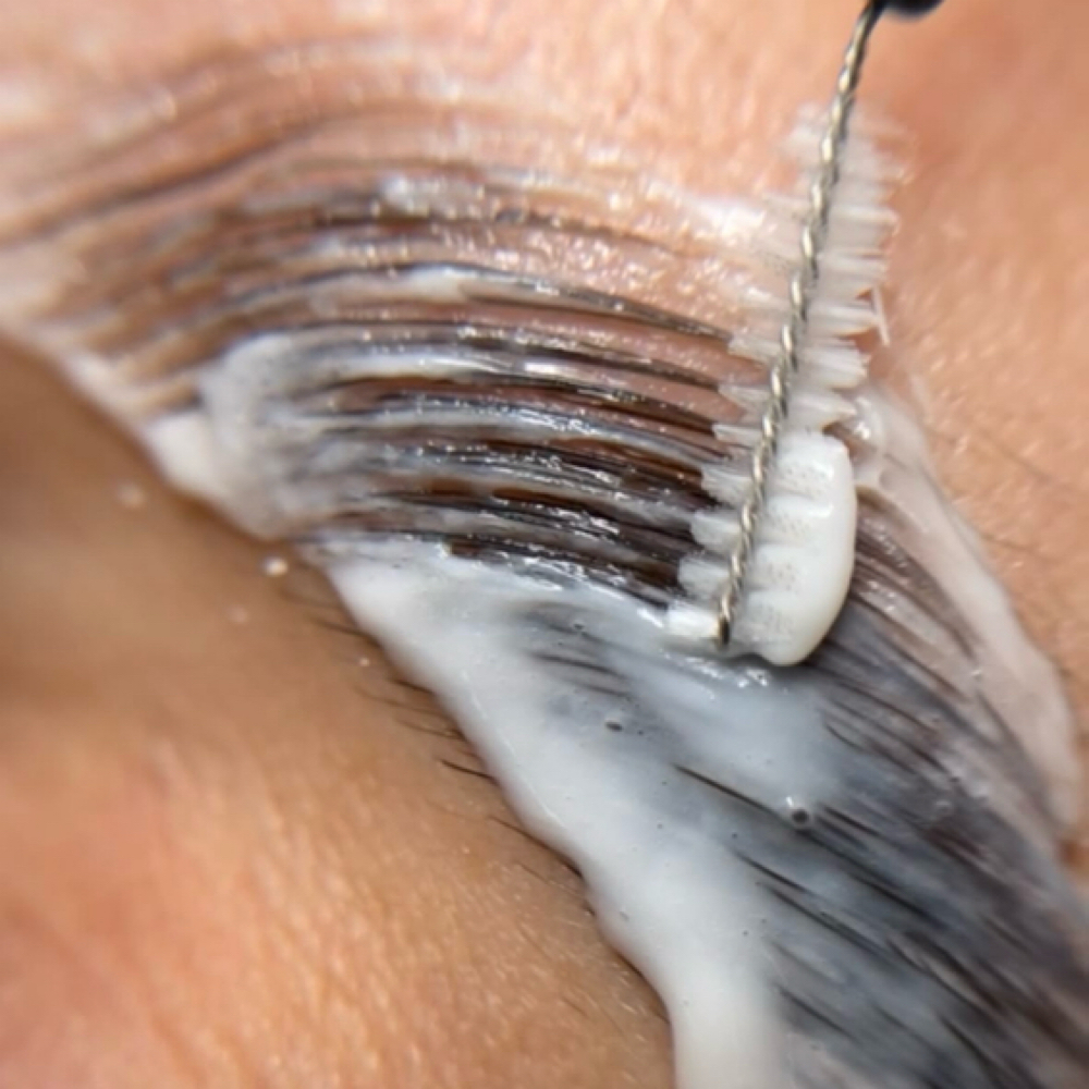 Eyebrow Lami and Tint at All About You Beauty Community in Cookeville, TN