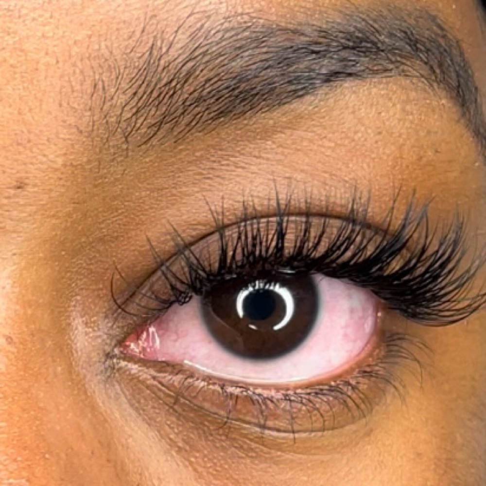 Pure "Classic" lash at Suaseen in Pikesville, MD