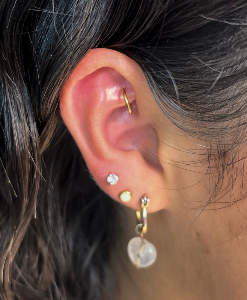 Rook