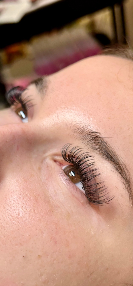 Hybrid Lashes (Full Set)