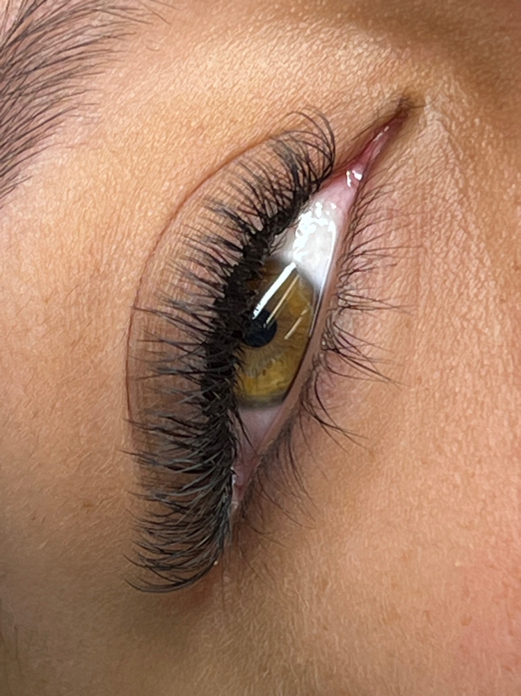 Lash Brazilian Volume