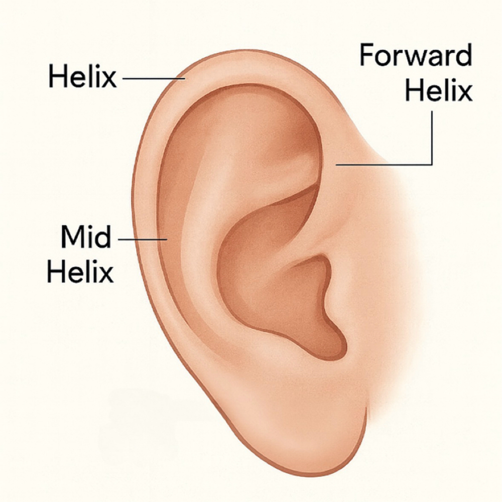 Helix Piercing at Leti_the_Esthi_ in Phoenix, AZ