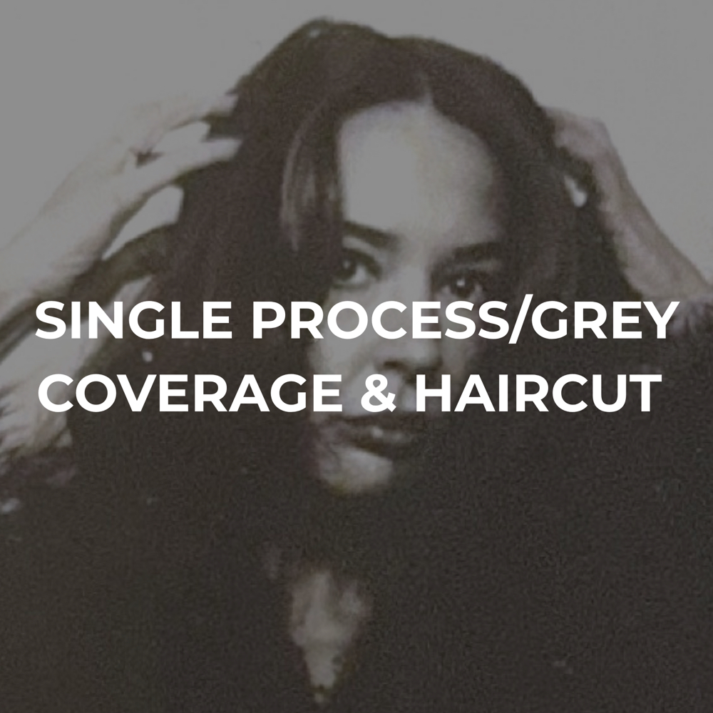 SINGLE PROCESS/GC & HAIRCUT at MaggieDoesMyHair in New York City, NY