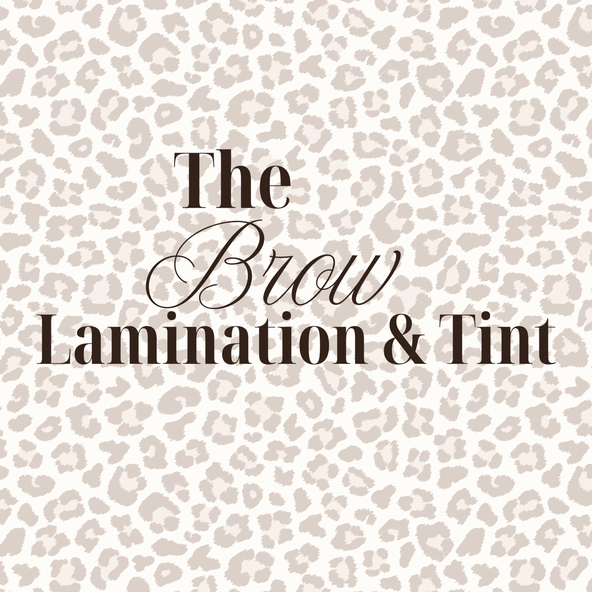 The Brow Lamination & Tint at Aydin Michelle Aesthetics