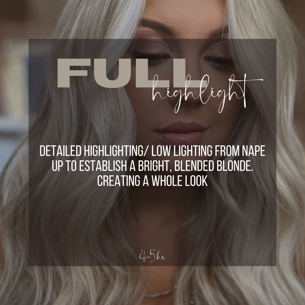 Full Highlight at Hair By Cassy and Team in Frisco, TX