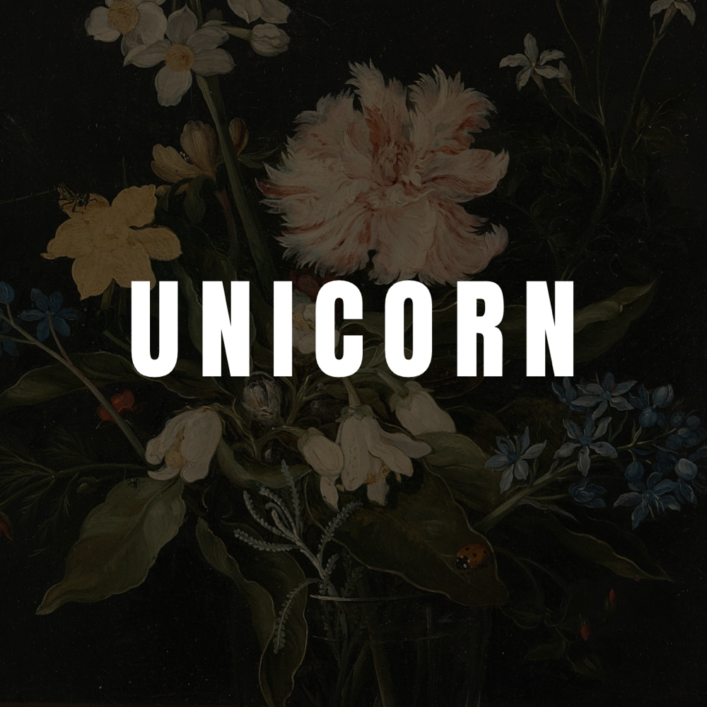 Unicorn Babe