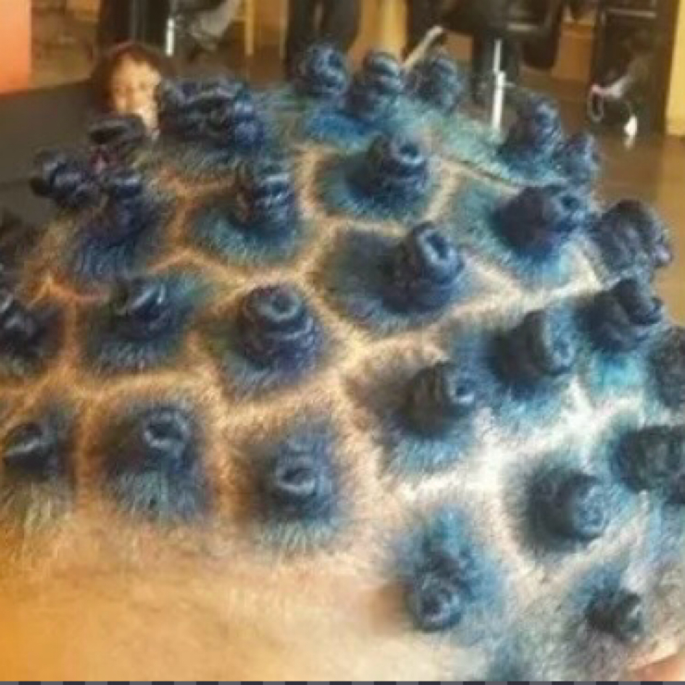 BANTU KNOTS at AfroDeziac in St. Louis, MO