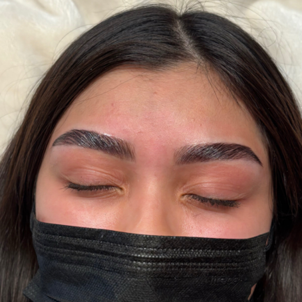 Brow Bundle at Lashes By Bree in Kansas, KS